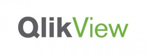 2013-junio-noticias-Qlik-Vie- logo