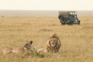 2015-abril-Nuba-leones
