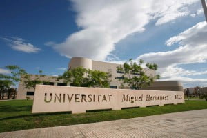 Universidad-Miguel-Hernandez